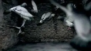 Sam Jones - Charlie Charlie ★★★【MUSIC VIDEO TranceOnJeroen edit】★★★