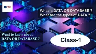 Data or Database