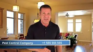 Pest Control   Jeff