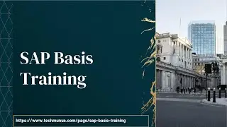 SAP Basis Training – SAP Basis Online Training (SAP Basis Certification Tips) SAP Basis Course