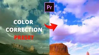 Color Correction Preset  premiere pro