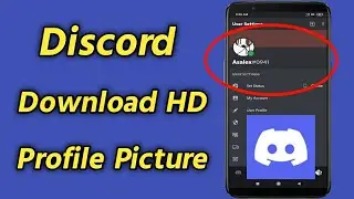 How to Steal High Quality Discord Profile Picture | Get Someones Profile Picture on Discord