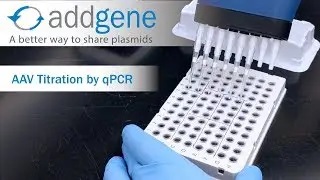 AAV Titration by qPCR