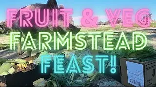 FUN FARMSTEAD FEASTS 🍌🍉🍏🍞🍅🥦🥖🥕🍆🥯🥬🥑🍓🫑🌽🥝