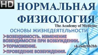 1.4 Возбудимость. Изменение возбудимости при возбуждении. Торможение. Проведение возбуждения.