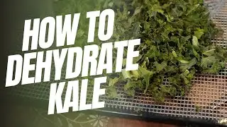 Dehydrating Kale Made Easy: Simple Methods for Long-Term Storage