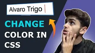 CSS Property | Is it possible to change the caret color using CSS ?