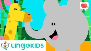 JUNGLE ANIMALS for Kids 🐯 🦍| VOCABULARY, SONGS and GAMES | Lingokids