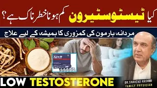 No:1 TESTOSTERONE BOOSTER IN MEN WITH LOW LIBIDO 💪| DR۔SHAHZAD HASHMI