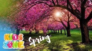 It's spring | What happens in spring season |  Spring video for kids | Spring facts for kids