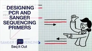 Designing PCR and Sanger Sequencing Primers– Seq It Out #5