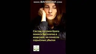 Сестра пустила брата пожить бесплатно в квартире, но понесла серьезные убытки