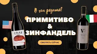 Примитиво или Зинфандель — Пробуем и сравниваем вино