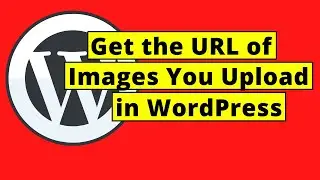 How To Get the URL of Images You Upload in WordPress