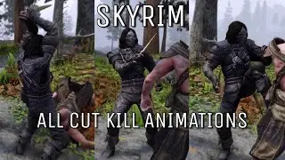 Skyrim why did Bethesda cut these animations?