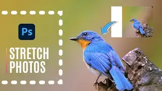 Stretch Photos in Photoshop - Shorts Tutorial