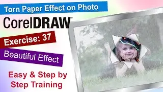 Torn or Tear paper effect in corel draw Exercise No. 37 | YN Tutor