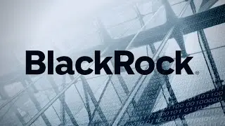 What is BLACKROCK? | The Company Easy Explained