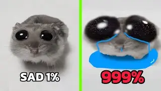 Sad Hamster Becomes More Sad