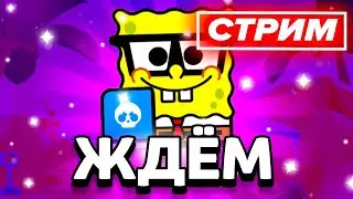 😁 ЖДЁМ ГУБКУ БОБА В БС - СТРИМ ПО BRAWL STARS / Бравл Старс