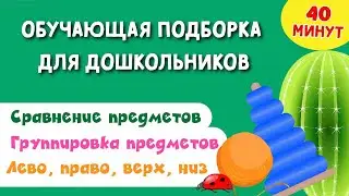 Обучающая Подборка для Дошкольников. Группировка и сравнение предметов. Лево, право, верх, низ.