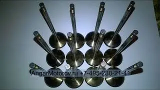 Клапан впускной 11347539919TE N52B25 BMW 3 E90 E93 523i 525i E60 E61 523i F10 X3 E83 Z4 E85 E89 2.5