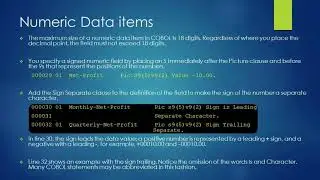 Numeric Data items or variables in COBOL programming language