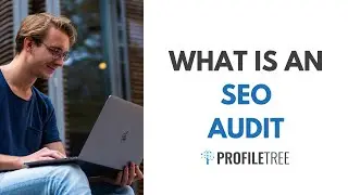 What Is An SEO Audit? SEO Basics