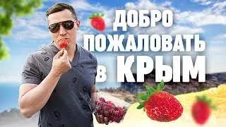 Добро пожаловать в Крым. КрымОбзор. Эльвир Салихов