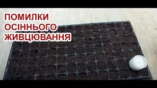 ПОМИЛКИ ОСІННЬОГО ЖИВЦЮВАННЯ.
