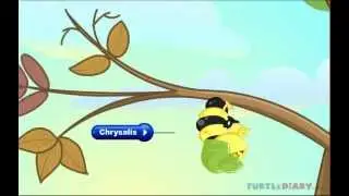 The Butterfly Life Cycle *INCREDIBLE* Science for Kids!