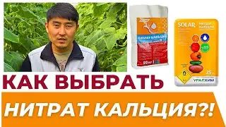 ВЫБИРАЕМ НИТРАТ КАЛЬЦИЯ! 