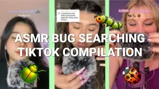 ASMR BUG SEARCHING l TIKTOK COMPILATION