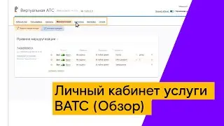 Личный кабинет услуги ВАТС (Обзор)