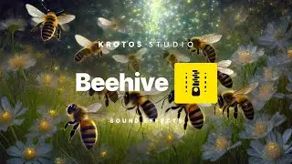 Beehive Sound Effects | 100% Royalty Free No Copyright Strikes