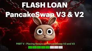 Flash Loan Arbitrage Smart Contract BSC Build - (Place Swaps on PancakeSwap V3 and V2)