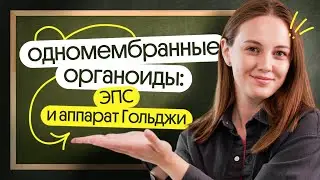 ❓ ЧТО такое ЭПС и аппарат Гольджи? ЕГЭ по биологии 2025