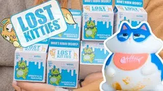 Not Lost Anymore! | Lost Kitties Wave 3 Milk Carton Box Blind Box Mini Figures | Hasbro