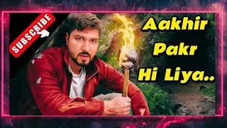 Aakhir Pakr Hi Liya | How To Catch Parrot | Catching Parrot Exposed | VENOM 3 TRAILER |