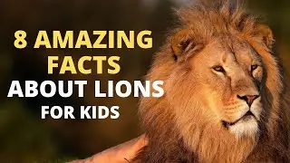 8 Amazing Facts about Lions for Kids