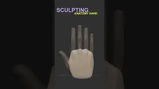 Master 3D Sculpting Anatomy | Create a Stylized Hand for a Character in ZBrush