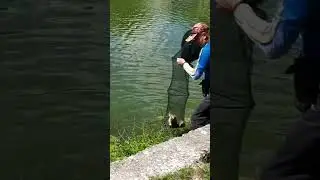 не слабо взял 🐟