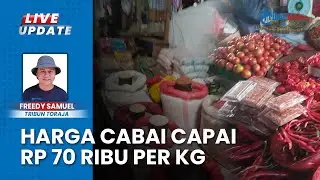 Update Harga Kebutuhan Bahan Pokok di Toraja Utara, Cabai Turun Jadi Rp 70 Ribu per Kilogram