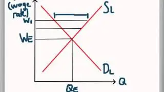 Labour Market Equilibrium - Excess Supply and Demand for Labour