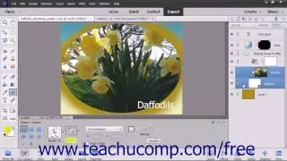 Photoshop Elements 15 Tutorial Linking Layers Adobe Training