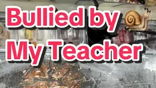 My Teacher Bullied Me