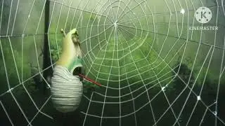 Yellow Larva YTP