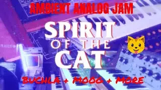 Live Ambient Analog Buchla + Minimoog + Rareties Jam: SPIRIT OF THE CAT