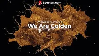 Wildvibes ft. Woodii - We Are Golden