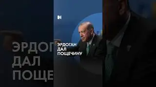 Президент Турции ударил ребенка